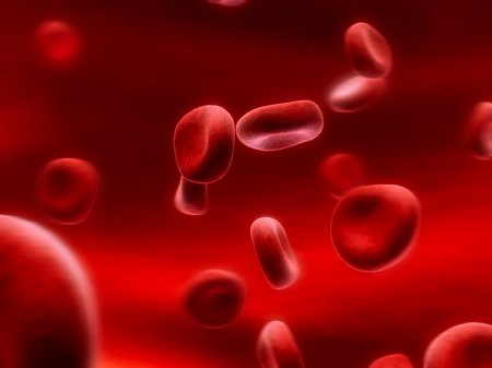 Что такое анемия крови? Как это можно вылечить?