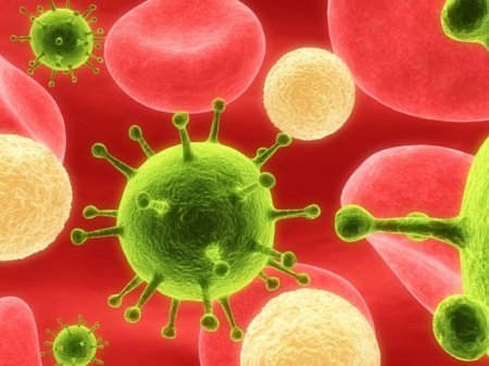 Что такое вирус герпеса 6 типа и насколько это опасно?